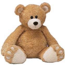 Teddy bear