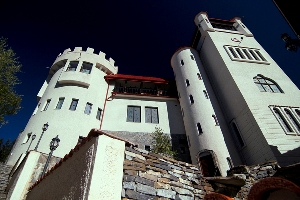 Wedding in House of Dracula Hotel