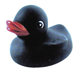 Black Duckling