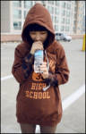 Худик High School