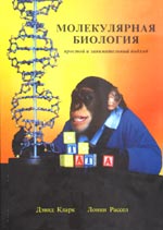 Кларк Д., Рассел Л. "Молекулярная биология: простой и занимательный подход"