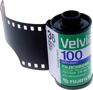Fuji Velvia 100 // 35mm