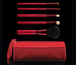 mac carmine basic brush set