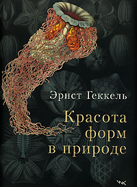 Э. Геккель "Красота форм в природе"