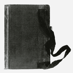 moleskin