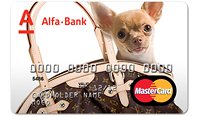 Заказать новые пластиковые карты