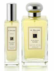 Blue Agava & Cacao Cologne  by Jo Malone