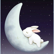 Moon Rabbit