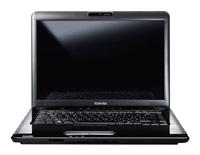Toshiba SATELLITE A300-1EG