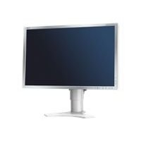 Display for designers NEC MultiSync P221W