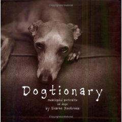 Dogtionary: Meaningful Portraits of Dogs