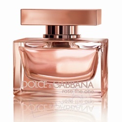 D&G Rose the one