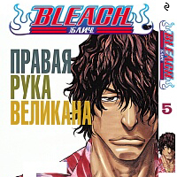 Bleach, том 5