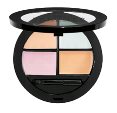 concealer palette