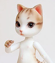 Nobilitydoll Taro (Yellow Tabby)