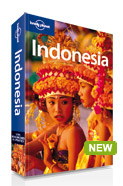 путеводитель lonely planet Indonesia 9th edition