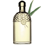 Guerlain Aqua Allegoria Herba Fresca