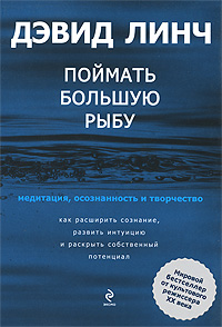 Дэвид Линч  Поймать большую рыбу. Медитация, осознанность и творчество