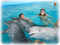 Поплавать с дельфинами)))