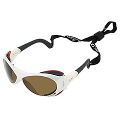 очки Julbo Explorer Camel Antifog