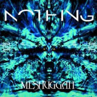 Meshuggah "Nothing"