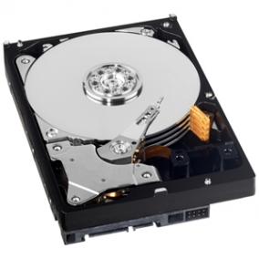 1Tb Western Digital 10EADS Caviar Green, SATA II