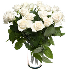 Букет белых  роз