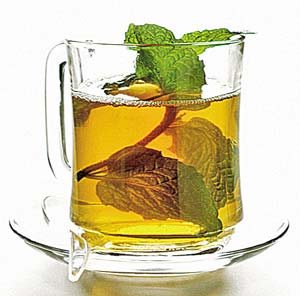 Чай крупнолистовой: чёрный, зелёный, белый