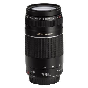 canon EF 75-300mm f/4-5.6 III USM telephoto zoom lens for canon SLR cameras.