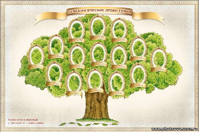 Дерево семьи шаблон