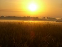 Йога-каникулы
