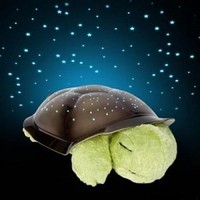 Ночник — черепаха «Звездное небо»