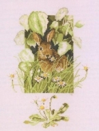 Hare in the green.