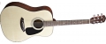 Fender CD-60 DREADNOUGHT