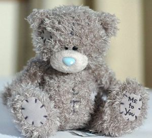 Tatty Teddy Bear