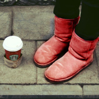 Найти свои Uggs