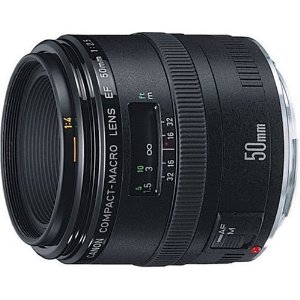 Canon EF 100mm f/2.8 L IS USM Macro Lens