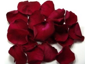 Freeze Dried Rose Petals Burgundy