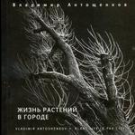 Антощенков "Жизнь растений в городе"