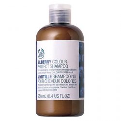 bilberry color protect shampoo