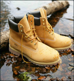 yellow classic timberland boots