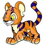 Orange Kougra