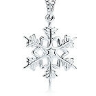Snowflake charm and chain