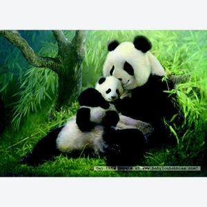 пазл Cuddling Pandas (by Jumbo)