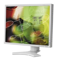 NEC MultiSync LCD2090UXi