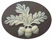 Acorns Needle Minder