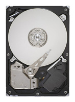 Seagate ST31000528AS