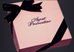 Agent Provocateur