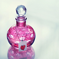 the perfect perfume