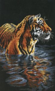 "Tiger Chilling Out"